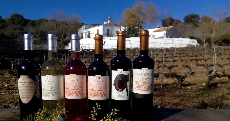 bodegas-f-reina